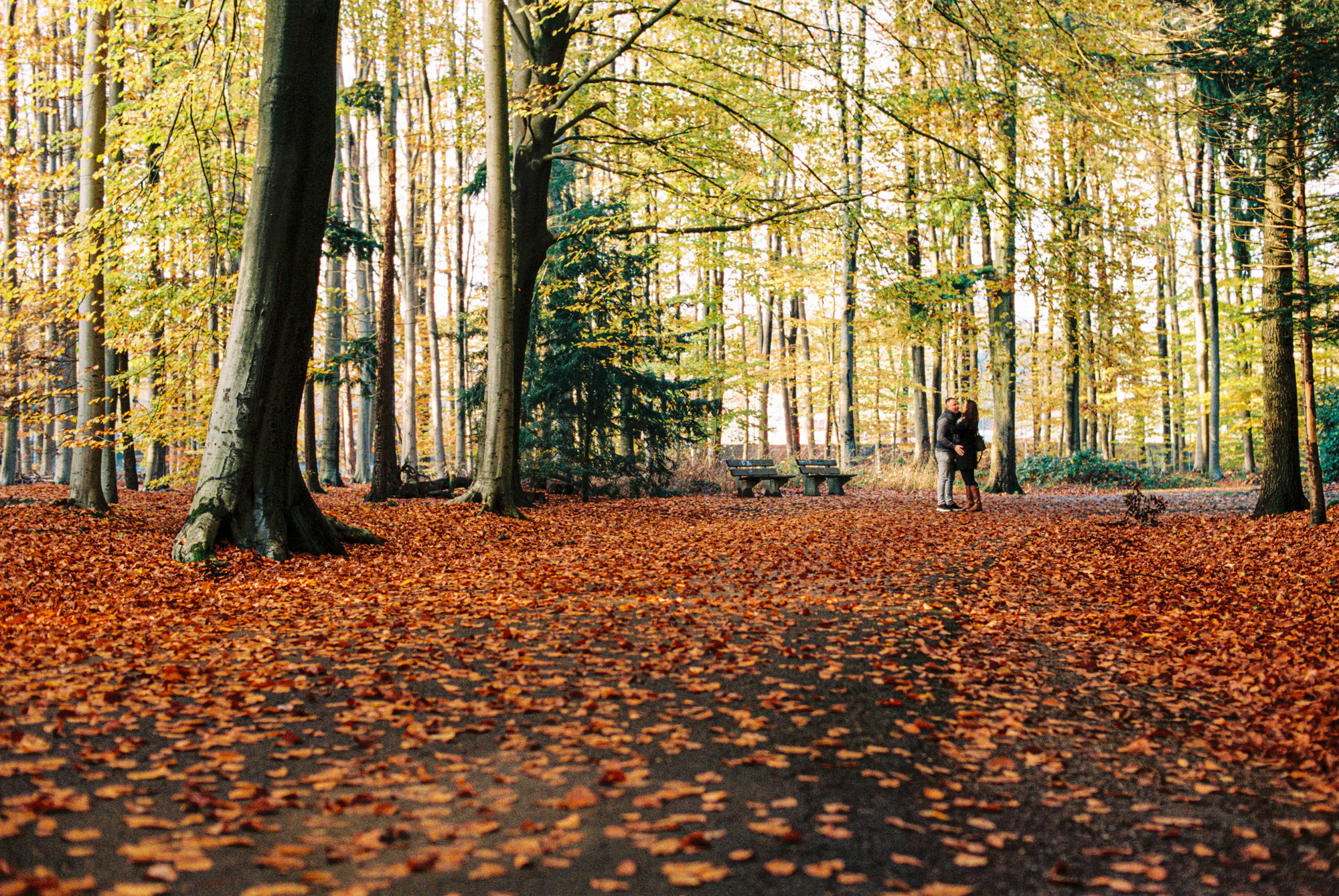 Autumn with Lomography 800